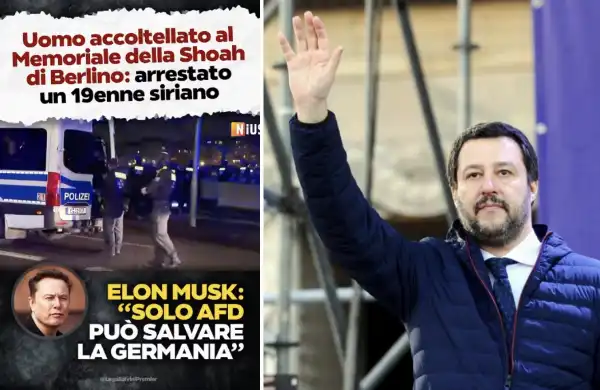 matteo salvini afd 