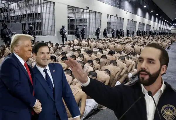 membri delle gang detenuti a el salvador - 2 donald trump marco rubio 