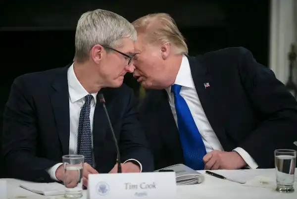 tim cook donald trump