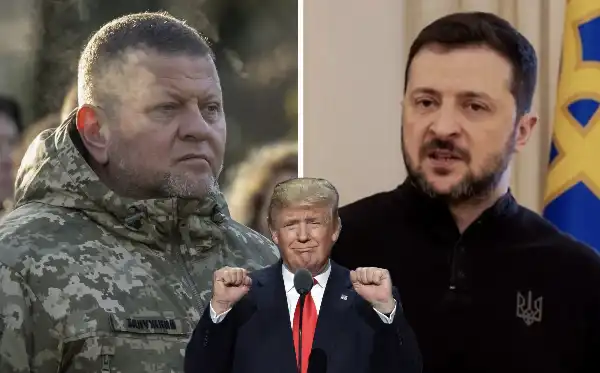 zaluzhny zelensky donald trump