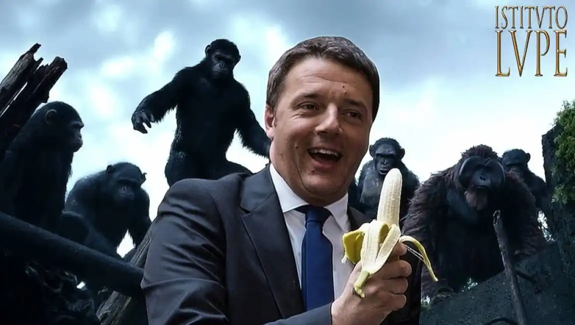 renzi banana