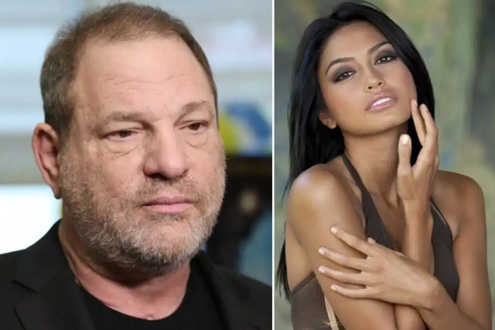 weinstein 