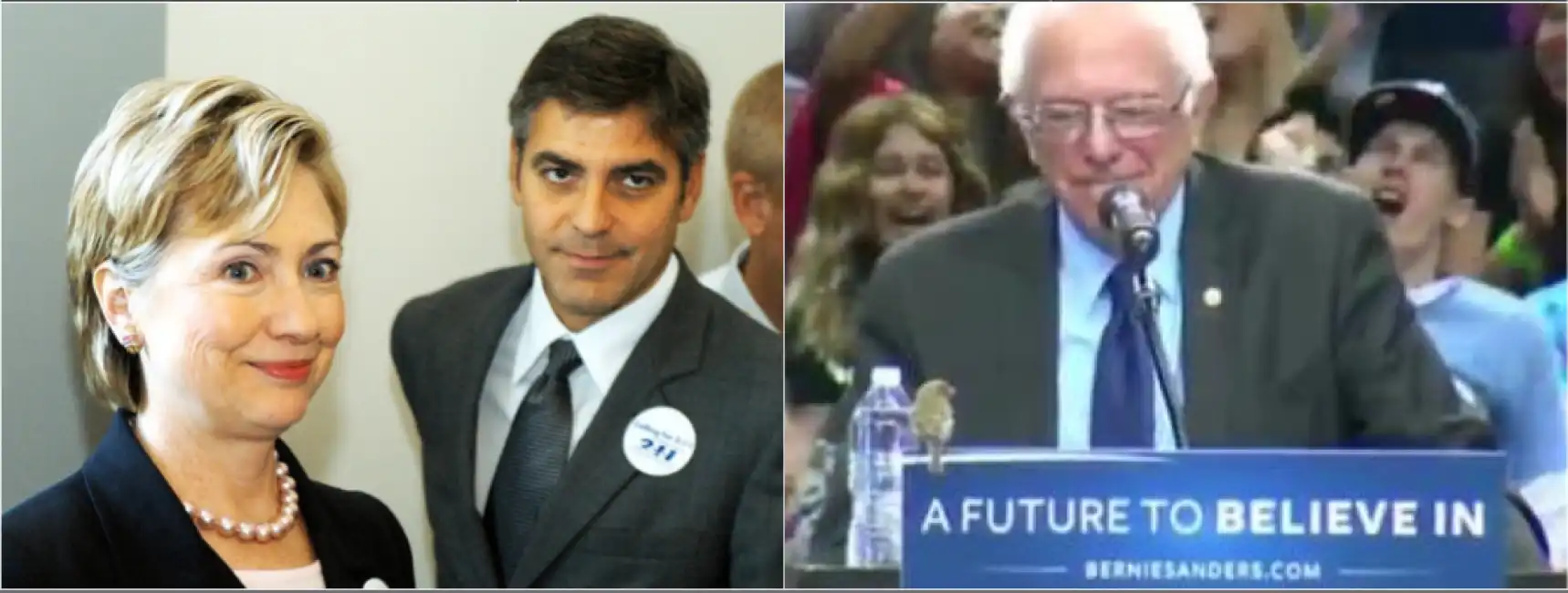 clooney clinton sanders