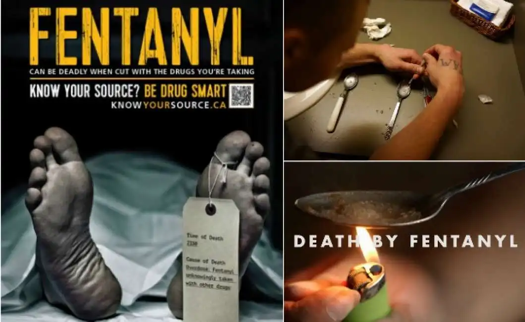 fentanyl bigfoto