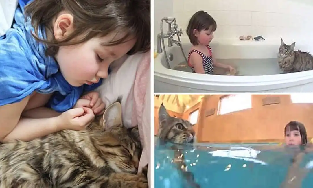 la bambina e il gatto