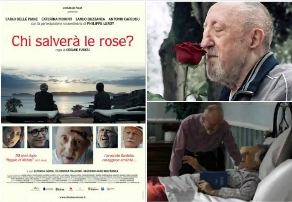 chi salvera le rose