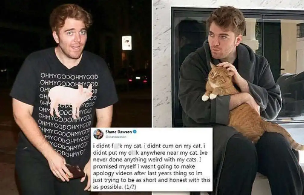 shane dawson gatto