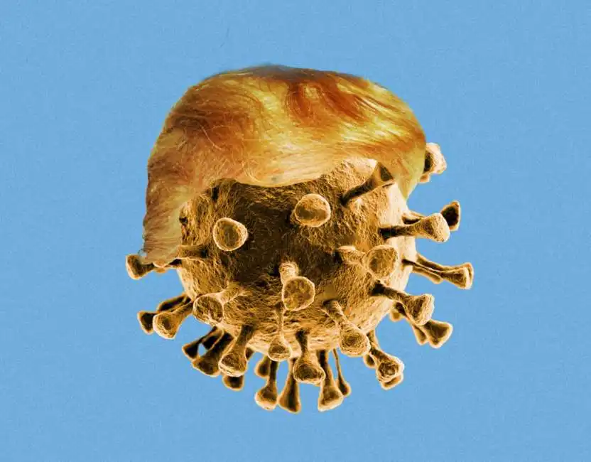 donald trump coronavirus