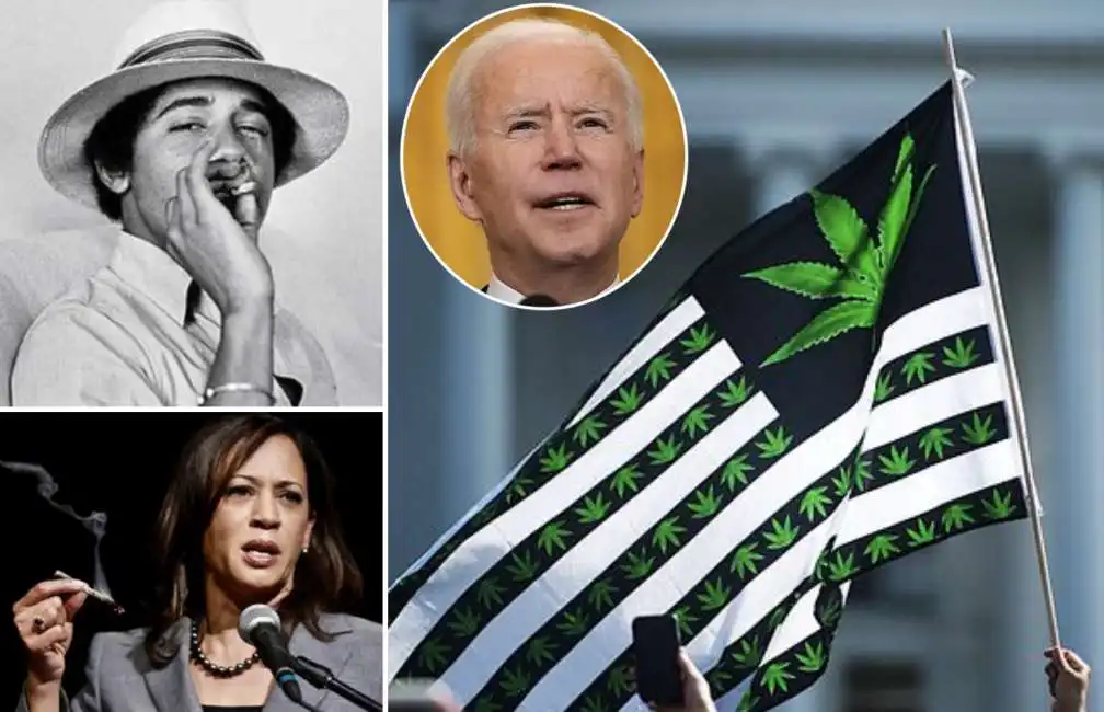 barack obama kamala harris joe biden marijuana