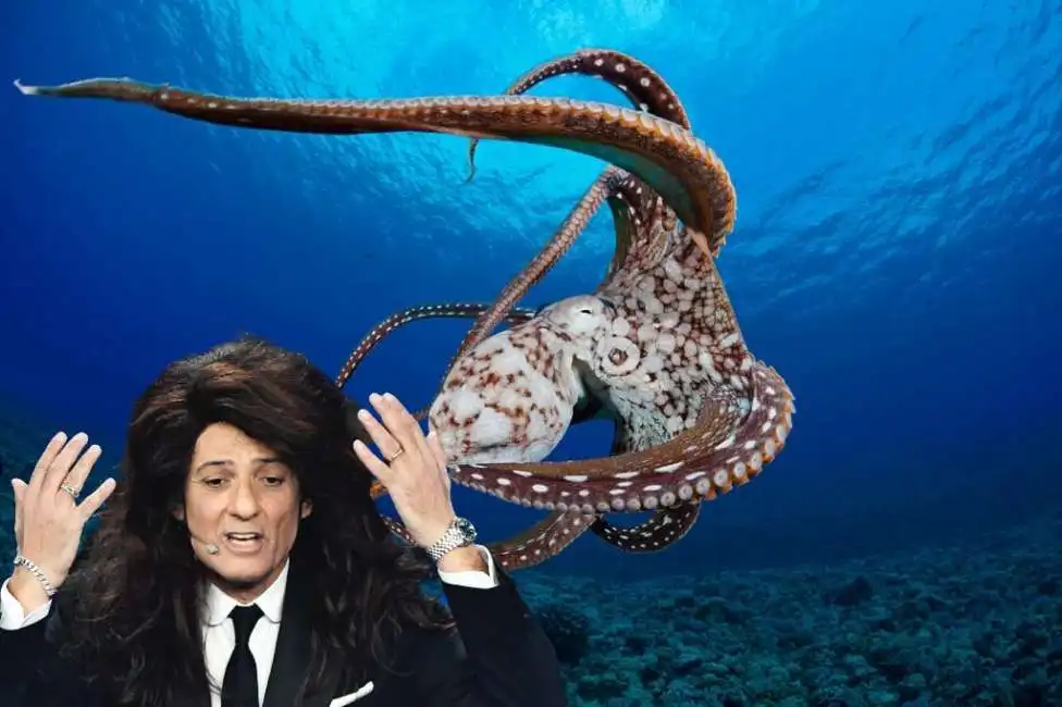 fiorello polpo 2021sanremo