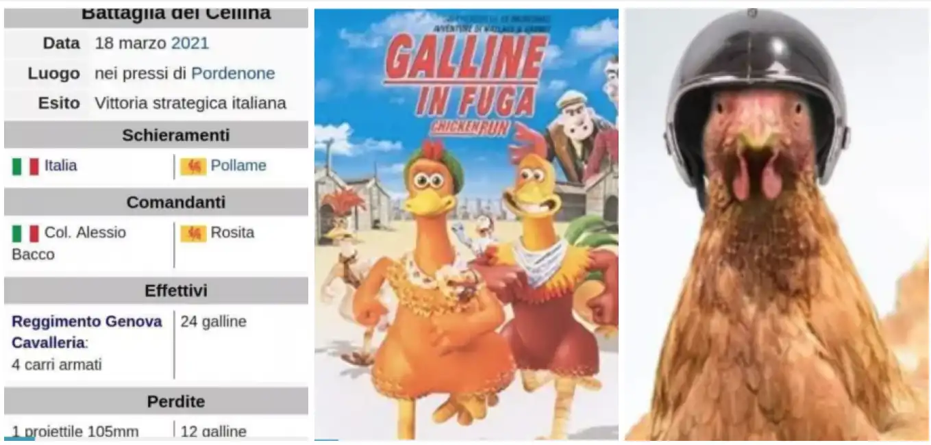 galline esercito carro armato meme