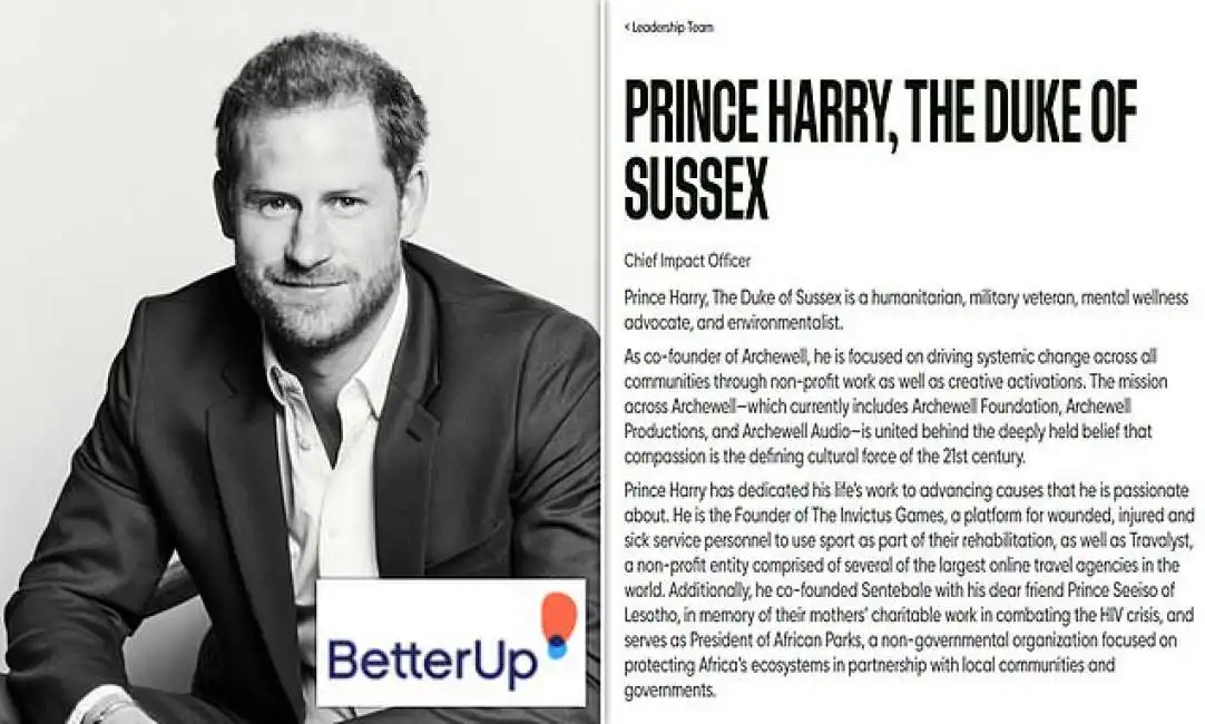 principe harry lavoro betterup silicon valley