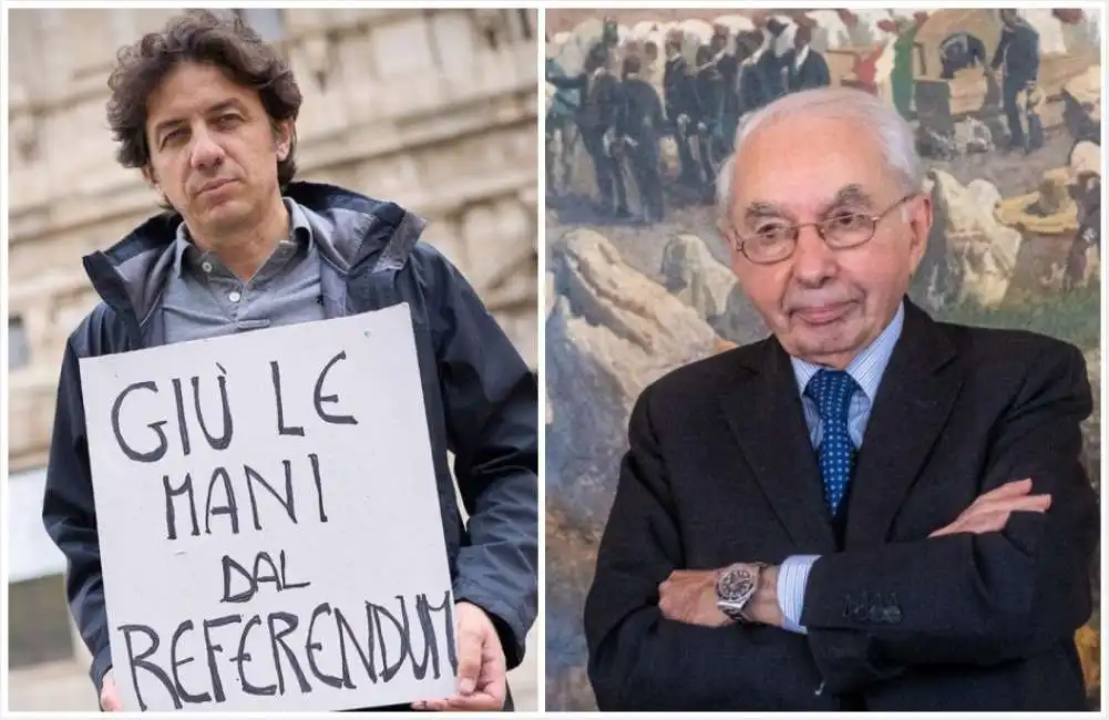 amato cappato referendum