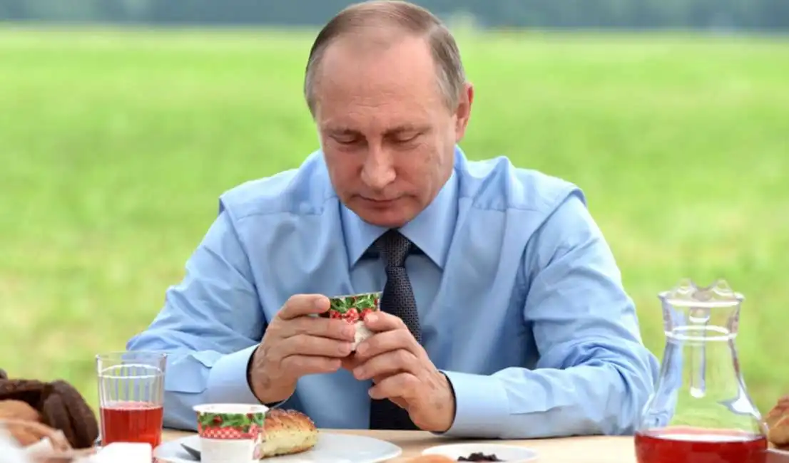 vladimir putin 