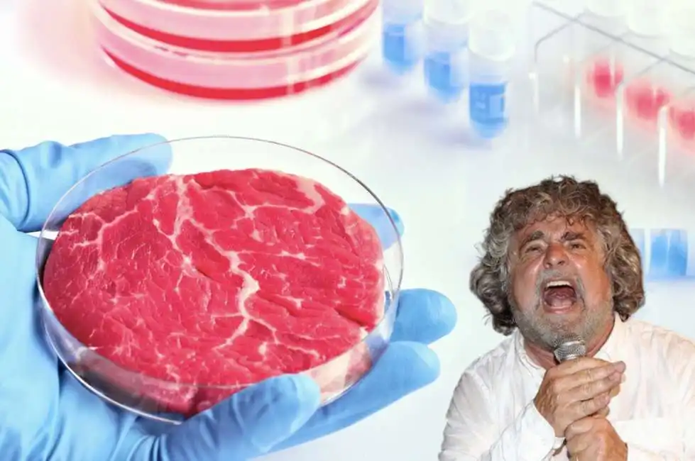 beppe grillo carne sintetica laboratorio 