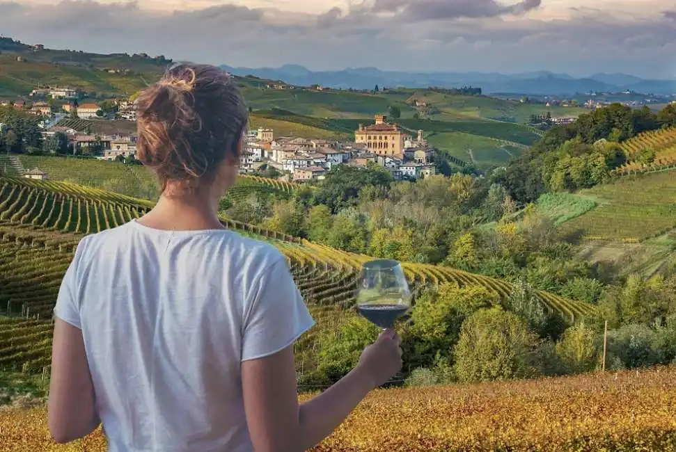 langhe vino barolo piemonte 