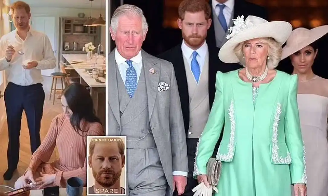 re carlo principe harry camilla parker bowles meghan markle