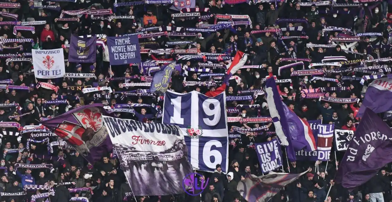 tifosi fiorentina