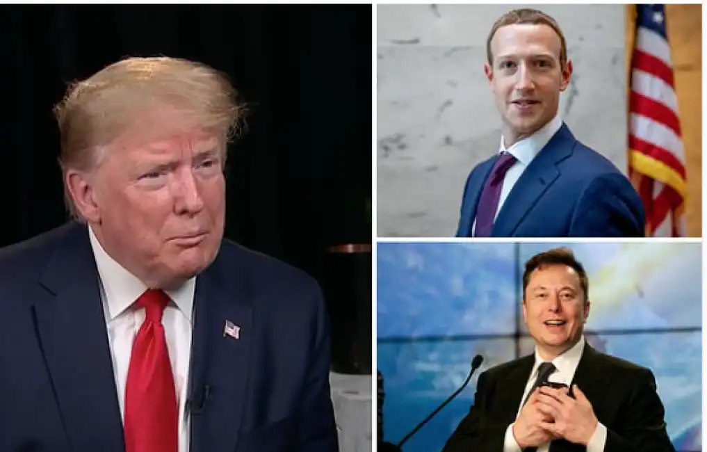 trump zuckerberg musk