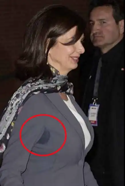 ascella laura boldrini