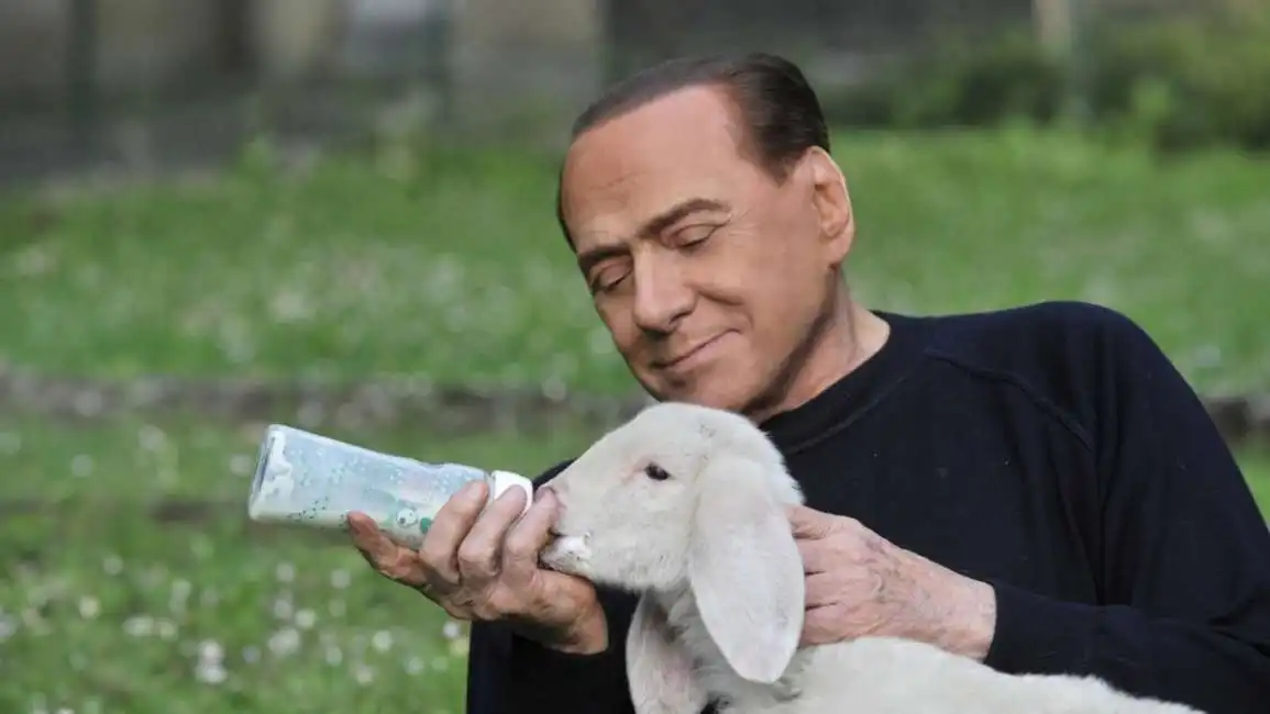 berlusconi agnello