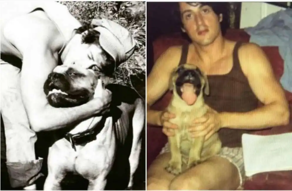 sylvester stallone e il cane butkus