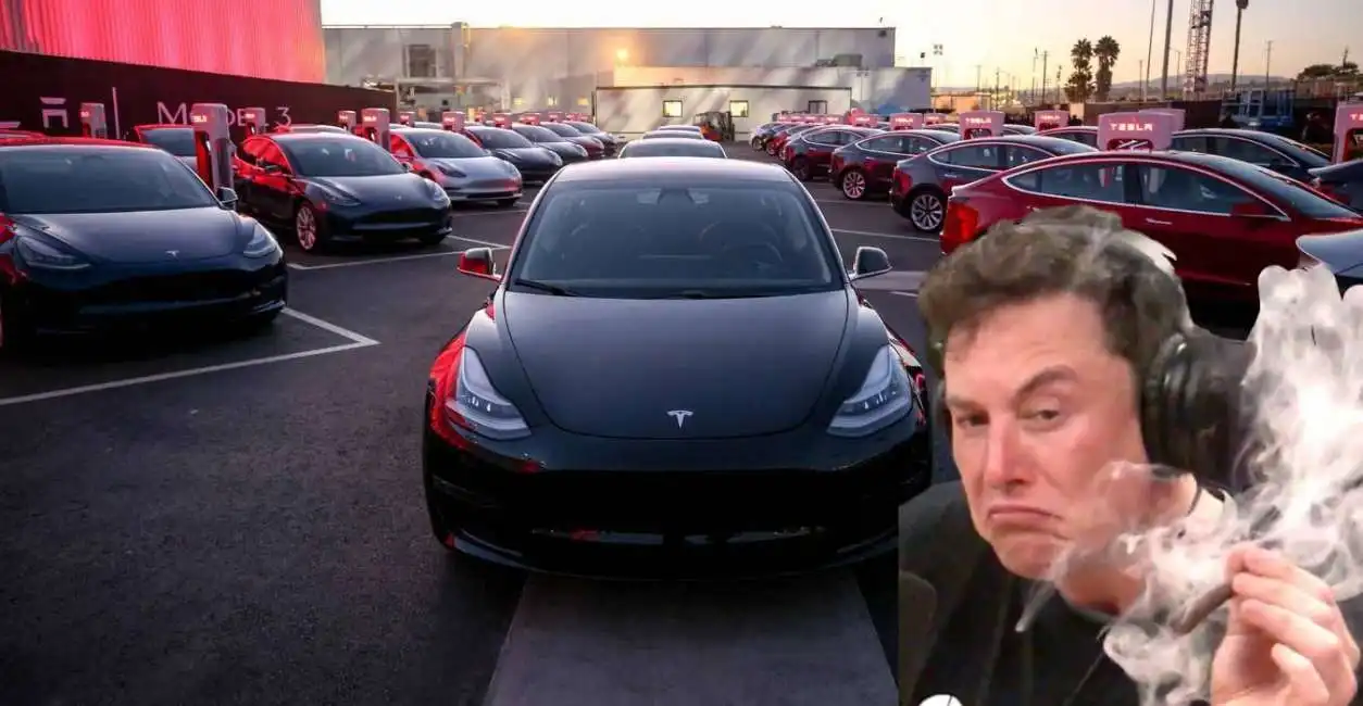 elon musk tesla model 3