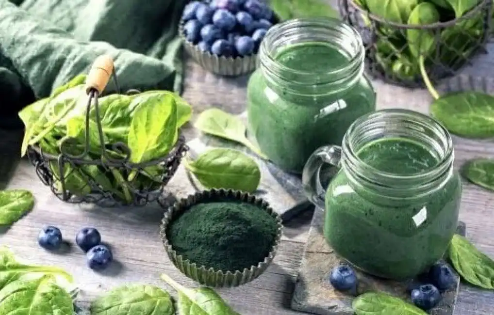 spirulina-1