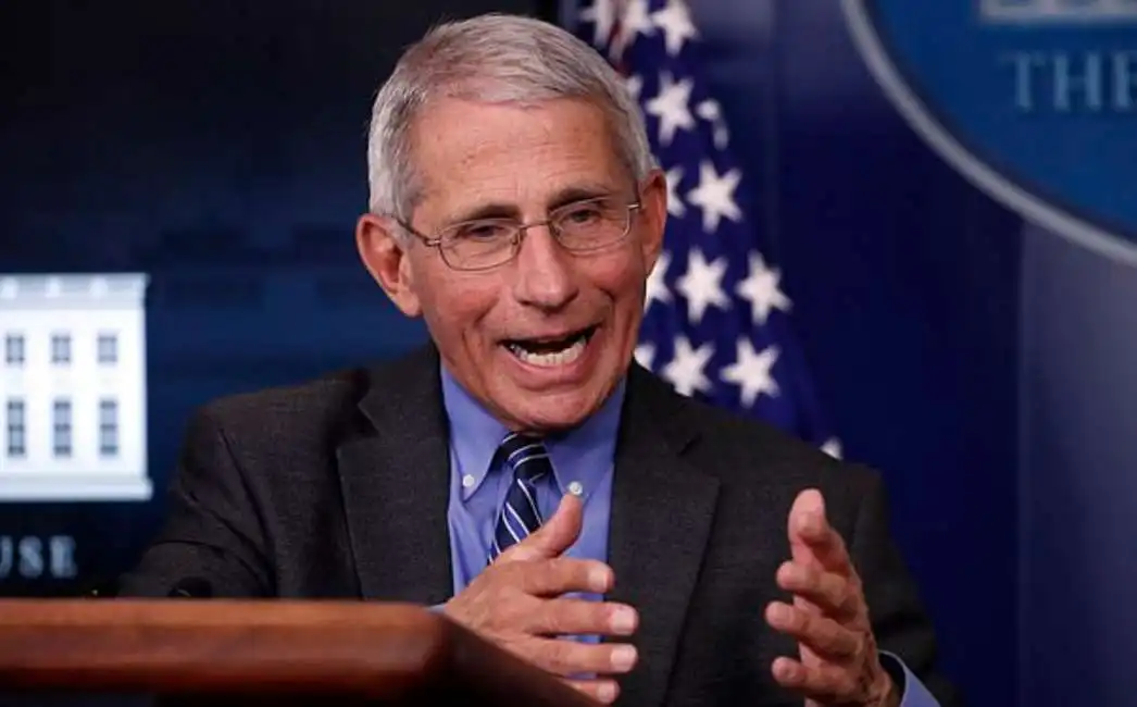 anthony fauci