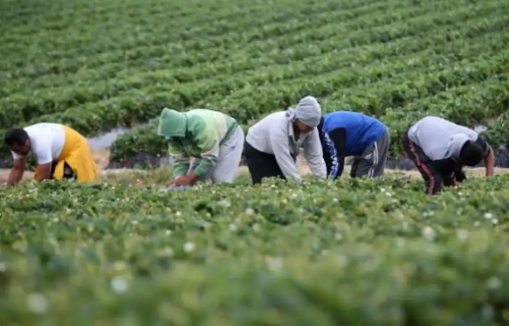 braccianti agricoli