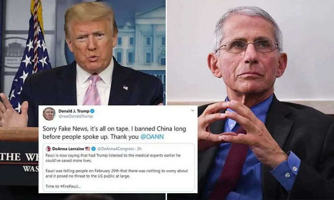 donald trump anthony fauci 