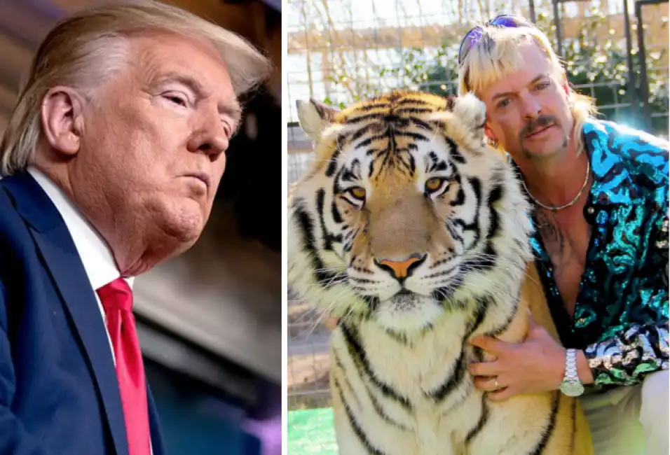 donald trump tiger king joe exotic