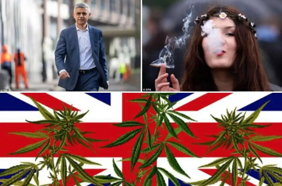 cannabis uk