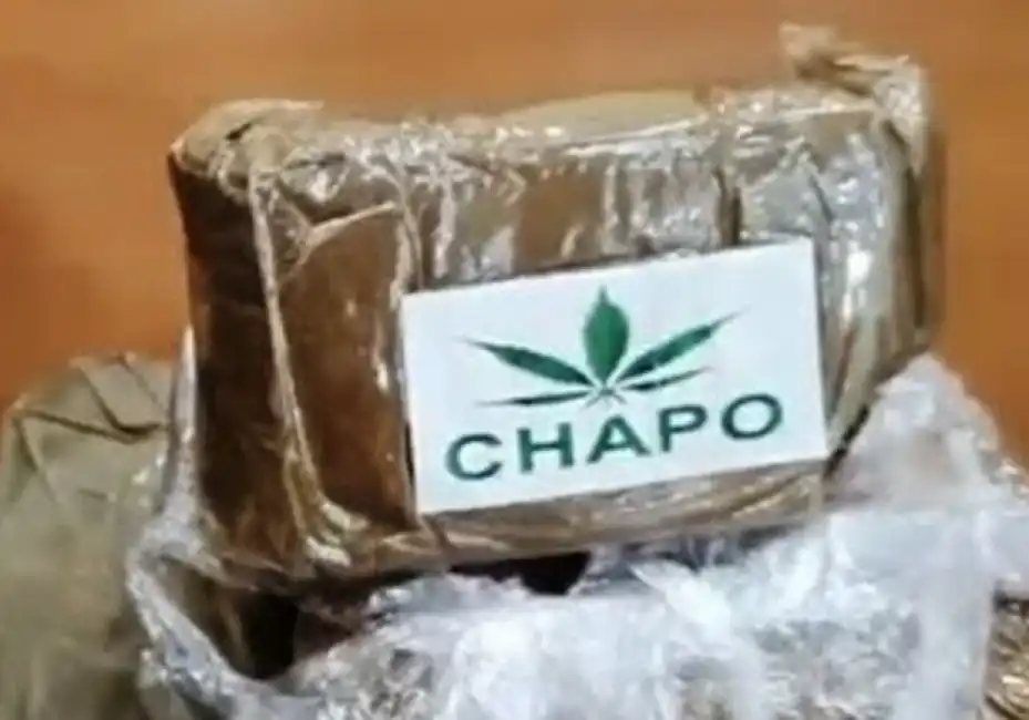 chapo