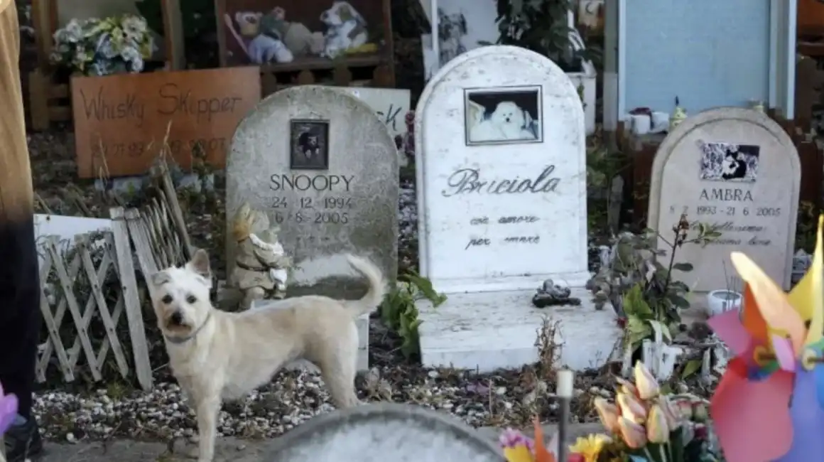 cimitero per animali 7