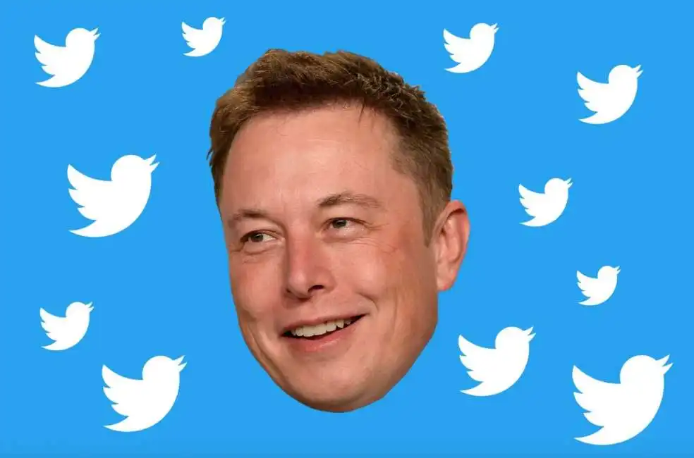 elon musk twitter