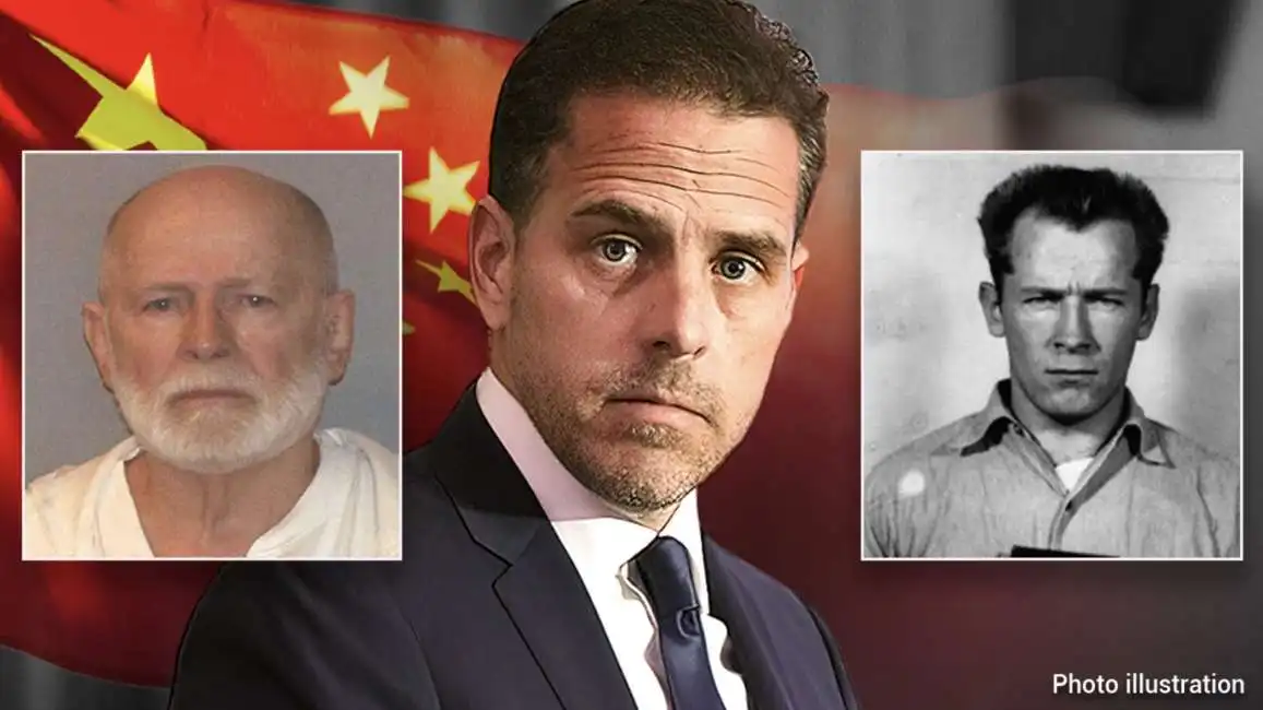 hunter biden james bulger 