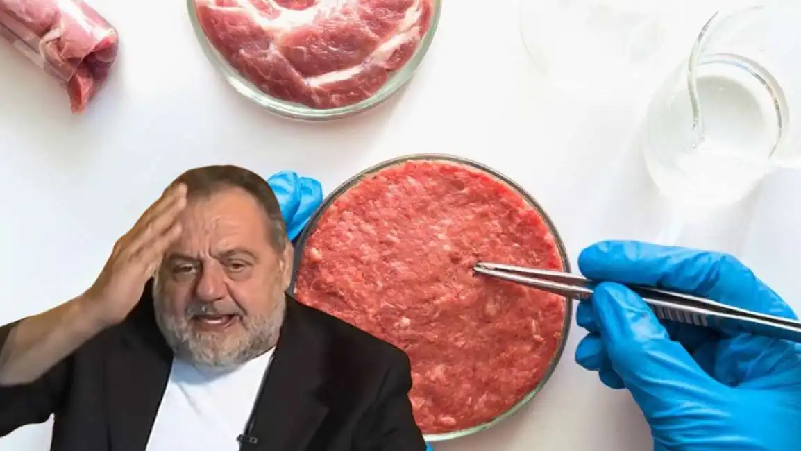 gianfranco vissani carne sintetica