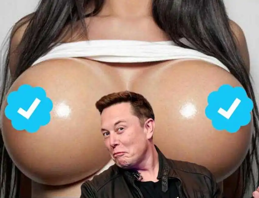 elon musk spunta blu