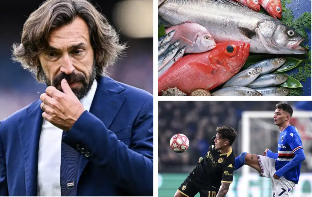 pirlo sampdoria spezia