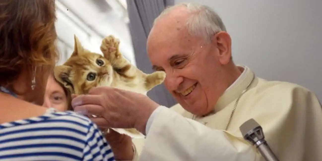 papa francesco bergoglio con gatto fotomontaggio