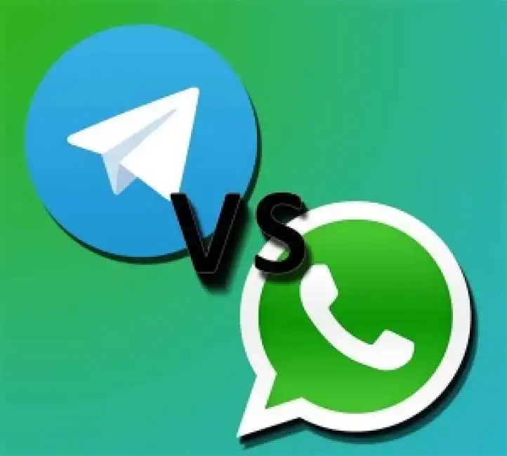 telegram whatsapp