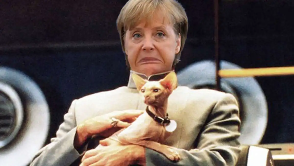 angela merkel 