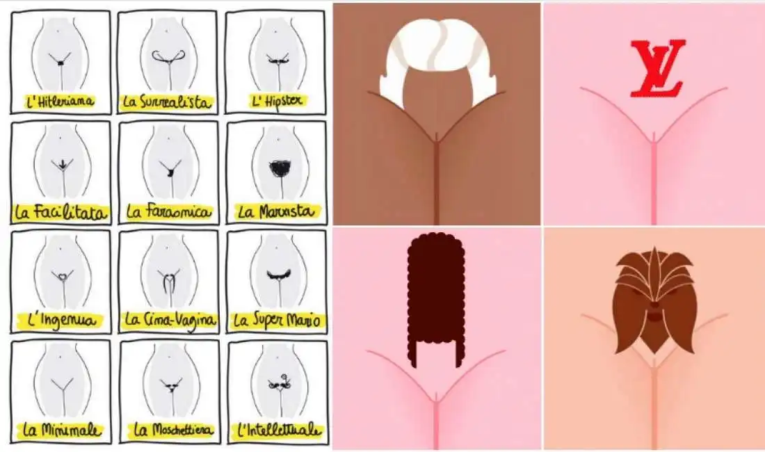 pubic hair