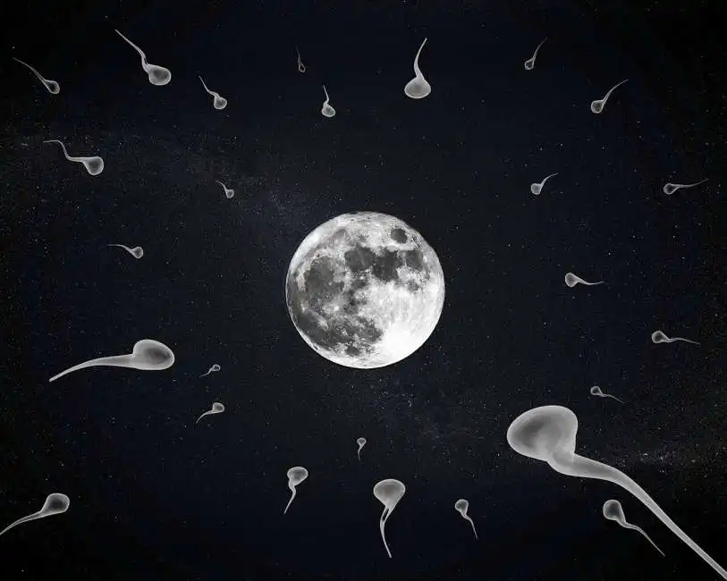 spermatozoi sulla luna