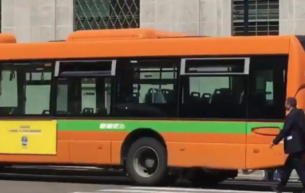 bus 