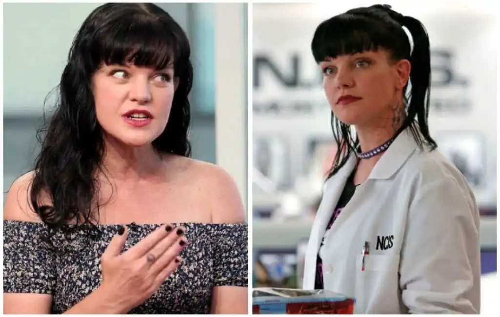 pauley perrette