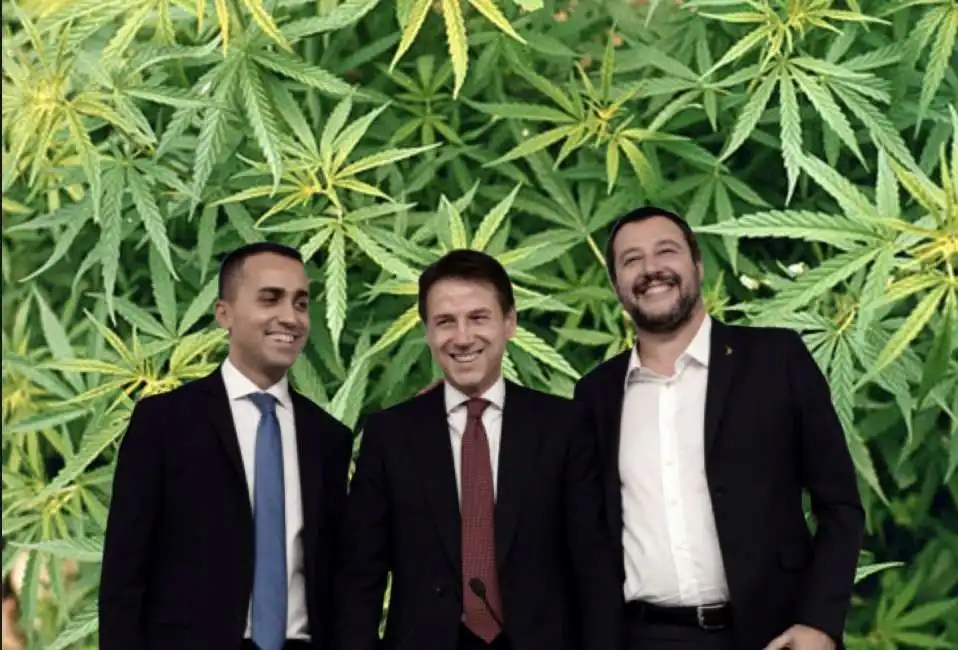 di maio conte salvini cannabis