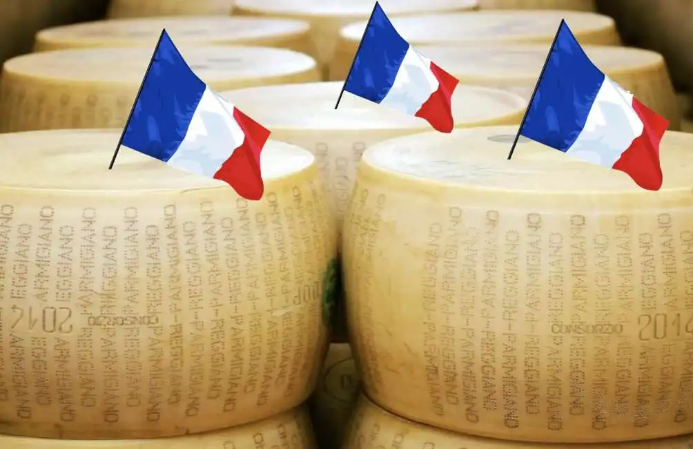 parmigiano reggiano lactalis nuova castelli