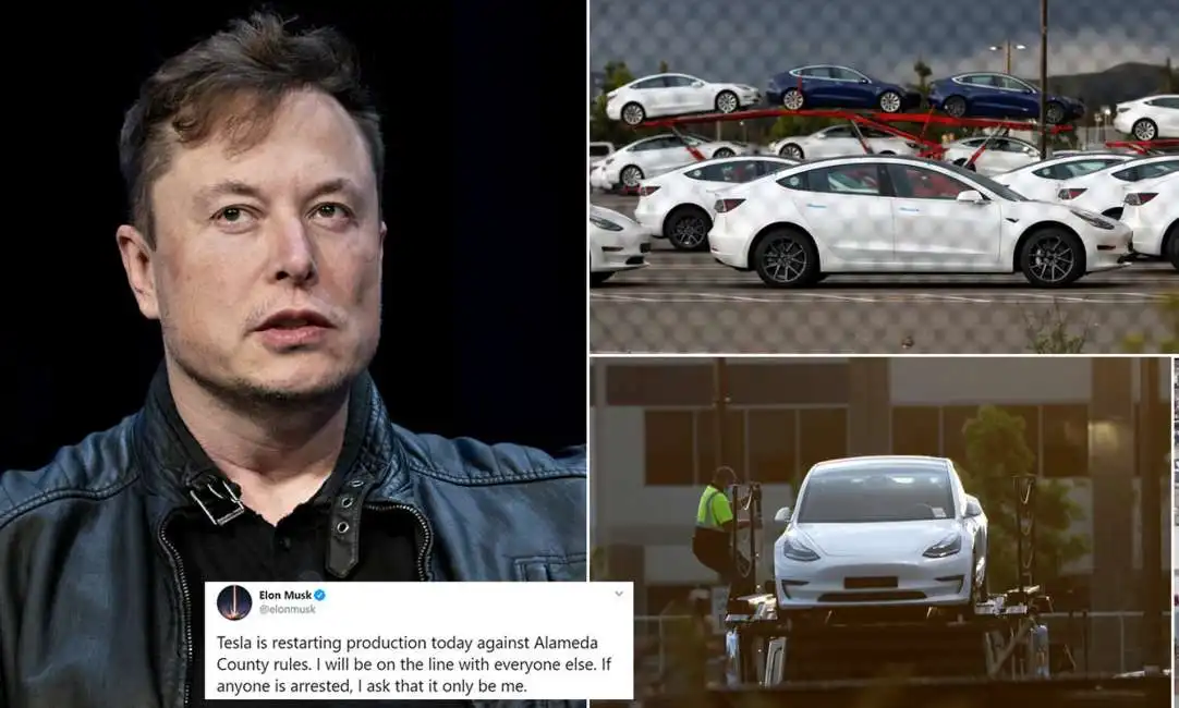 elon musk tesla